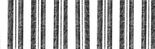 Image iconne